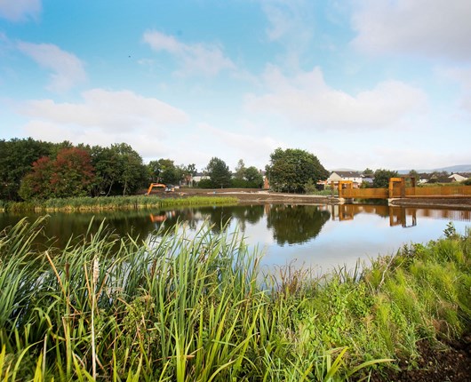 Forth Meadow Greenway Inspires Local Poet