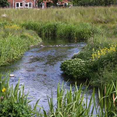 09. Naturalised River Channel