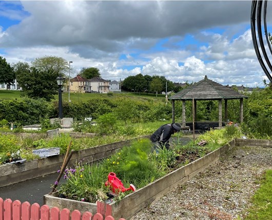 Rath Mor Community Garden 